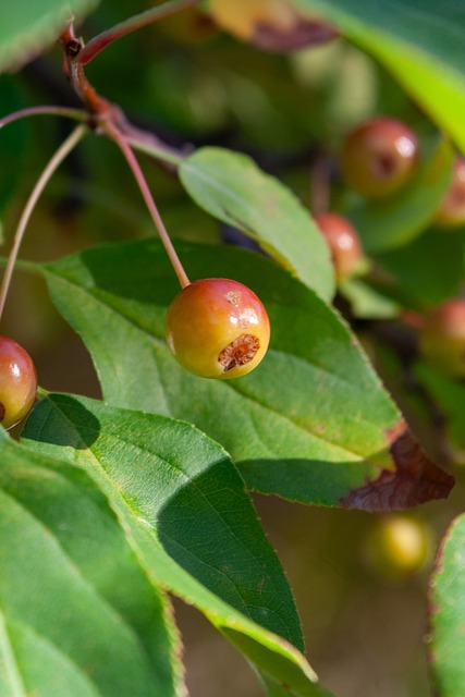 尤文股东大会批准新一轮增资计划，最高可达1.1亿欧元