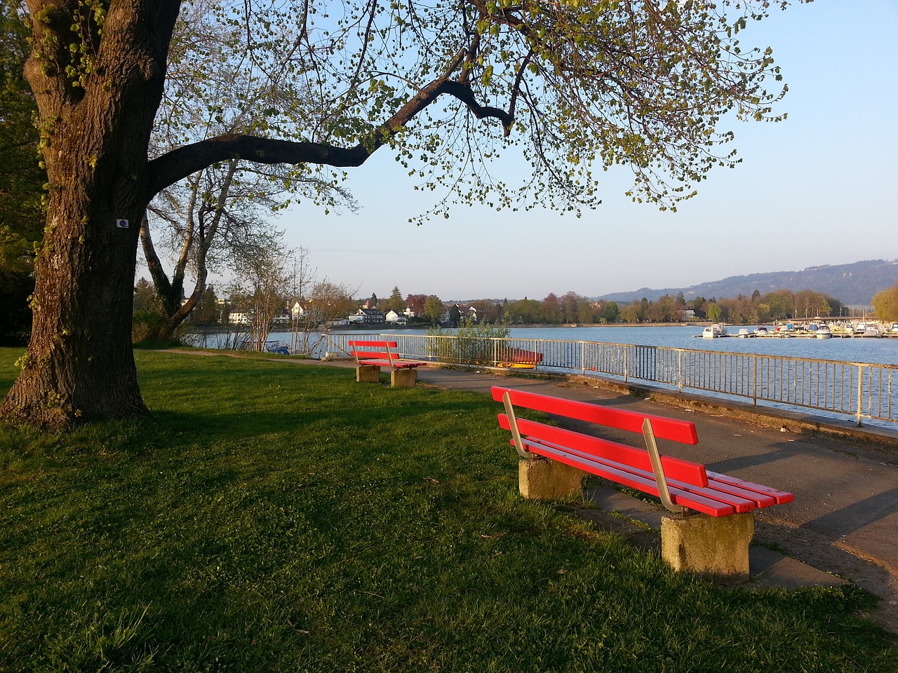 的战略牢守 的战略牢守