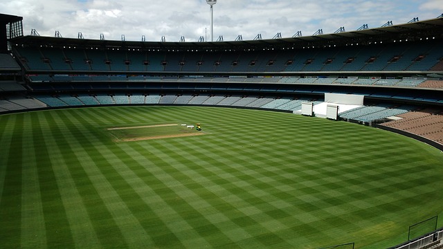 一些传统豪 一些传统豪