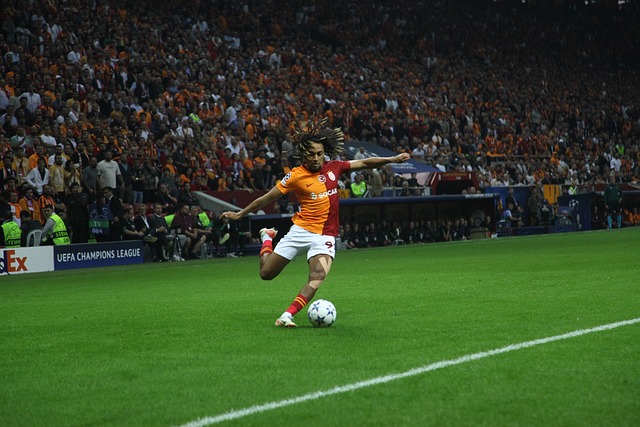 组合具备挑 组合具备挑