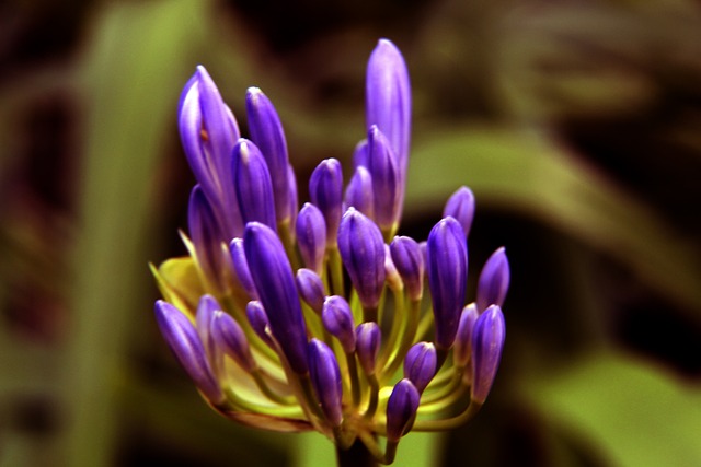 了扎实的防 了扎实的防