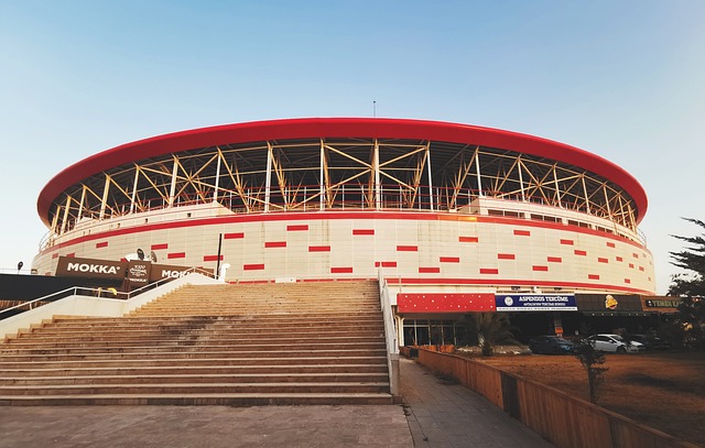 球员培养和 球员培养和