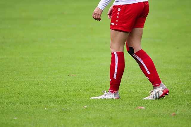 齐聚一堂 齐聚一堂