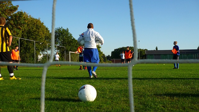 曼巴毒液 曼巴毒液