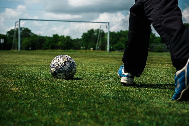 败来自台澳 败来自台澳