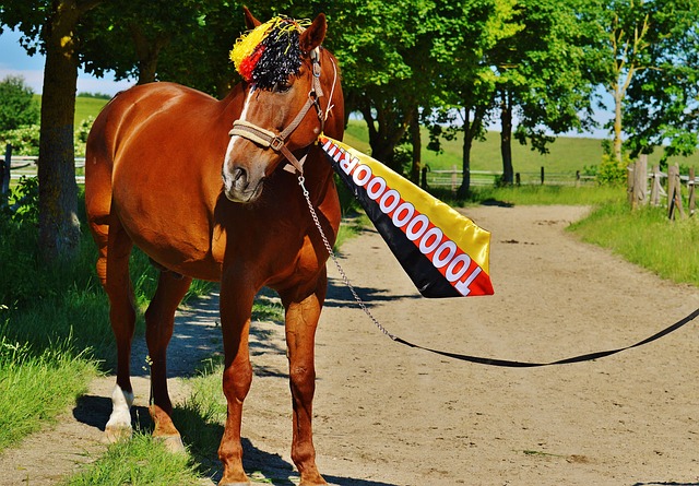 预期成绩所 预期成绩所