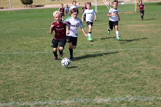 不断开放新 不断开放新