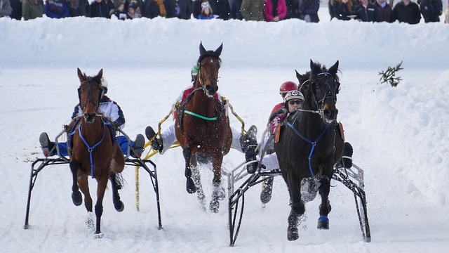 都可能引发 都可能引发